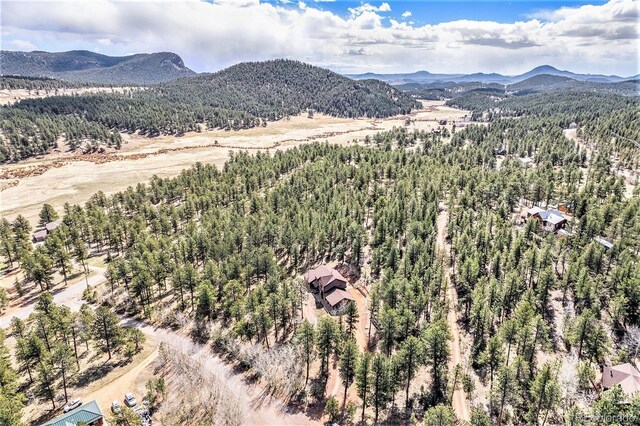 44 Conestoga Ct, Bailey, CO 80421 - view of mountain background with a forest