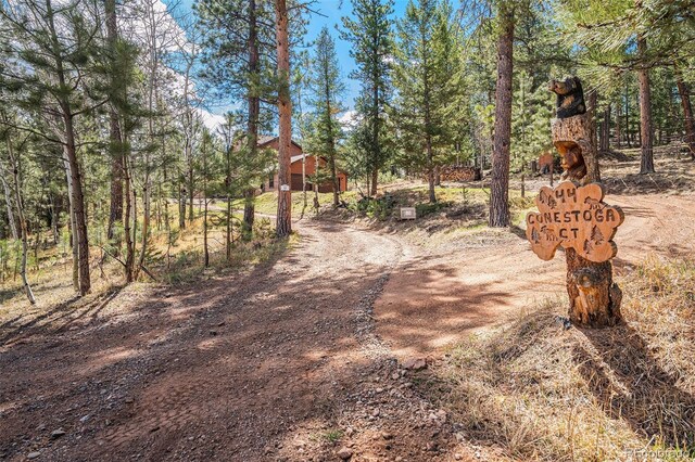 44 Conestoga Ct, Bailey, CO 80421 - view of dirt / gravel driveway