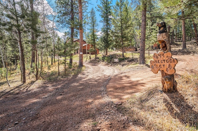 44 Conestoga Ct, Bailey, CO 80421 - photo 2