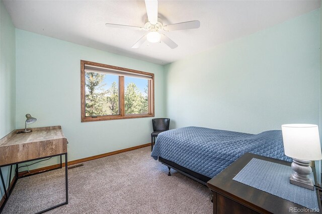 44 Conestoga Ct, Bailey, CO 80421 - photo 19