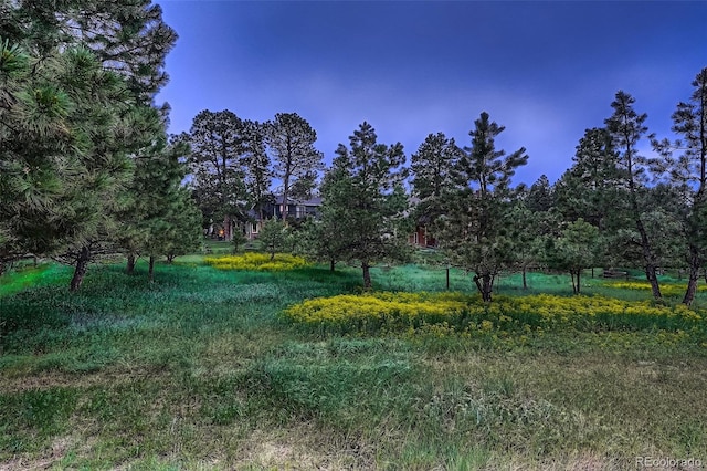 9658 Coronado Ct, Parker, CO 80134 - photo 17