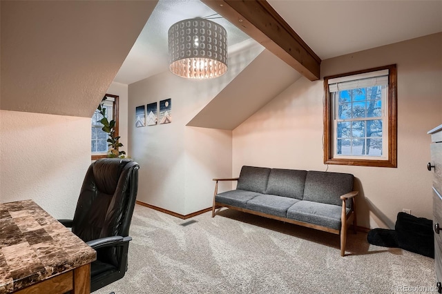 9658 Coronado Ct, Parker, CO 80134 - photo 21