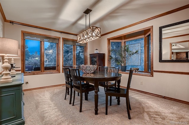 9658 Coronado Ct, Parker, CO 80134 - photo 11