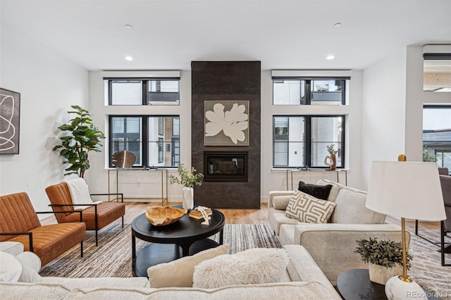 living room featuring a large fireplace, plenty of natural light, and light hardwood / wood-style floors