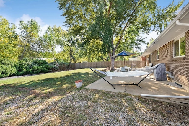 view of yard featuring a patio and a fenced backyard