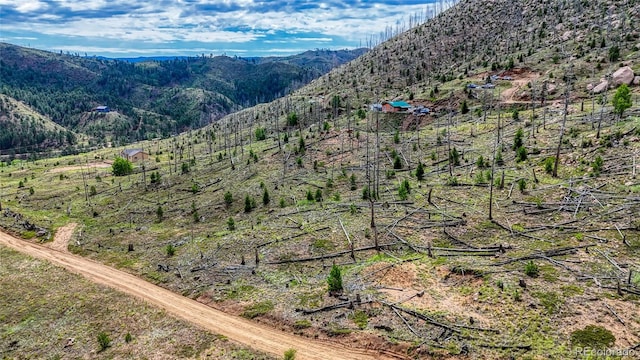 TRACT36 S State Highway 67, Woodland Park, CO 80863 - photo 1