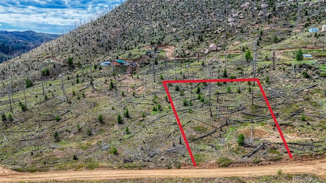 TRACT36 S State Highway 67, Woodland Park, CO 80863 - photo 3