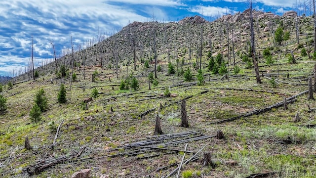 TRACT36 S State Highway 67, Woodland Park, CO 80863 - photo 4