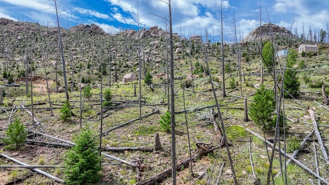TRACT36 S State Highway 67, Woodland Park, CO 80863 - photo 5