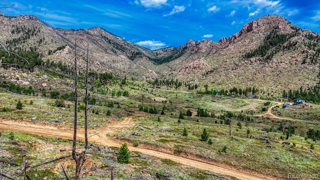 TRACT36 S State Highway 67, Woodland Park, CO 80863 - photo 6