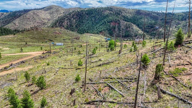 TRACT36 S State Highway 67, Woodland Park, CO 80863 - photo 8