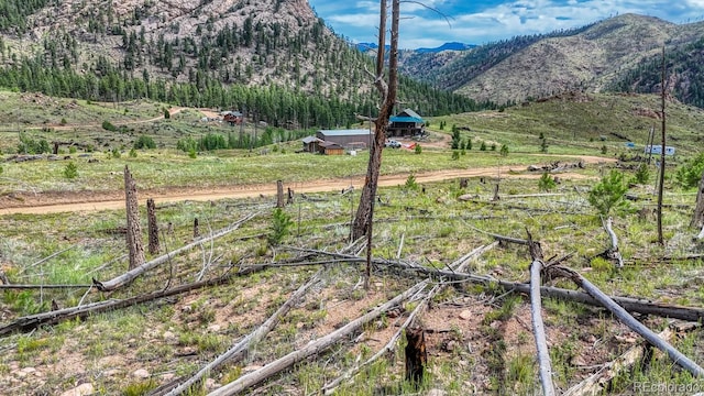 TRACT36 S State Highway 67, Woodland Park, CO 80863 - photo 9