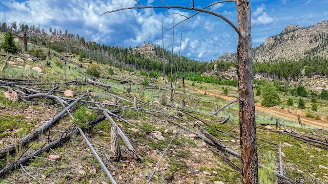 TRACT36 S State Highway 67, Woodland Park, CO 80863 - photo 10