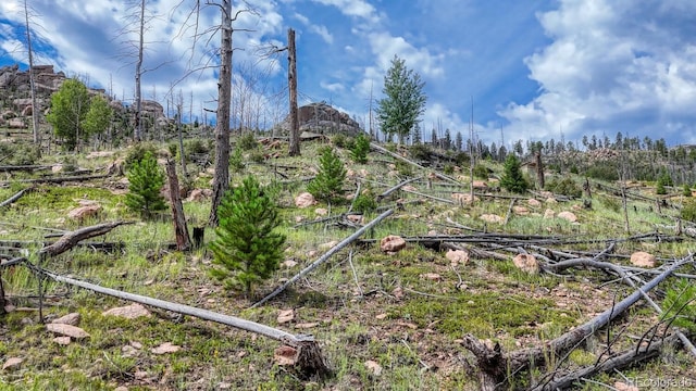 TRACT36 S State Highway 67, Woodland Park, CO 80863 - photo 11