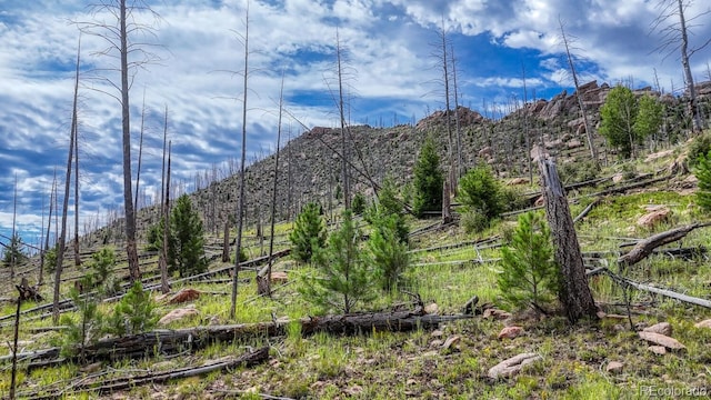 TRACT36 S State Highway 67, Woodland Park, CO 80863 - photo 12