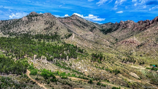TRACT36 S State Highway 67, Woodland Park, CO 80863 - photo 13