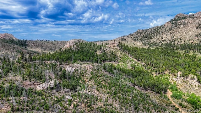 TRACT36 S State Highway 67, Woodland Park, CO 80863 - photo 14