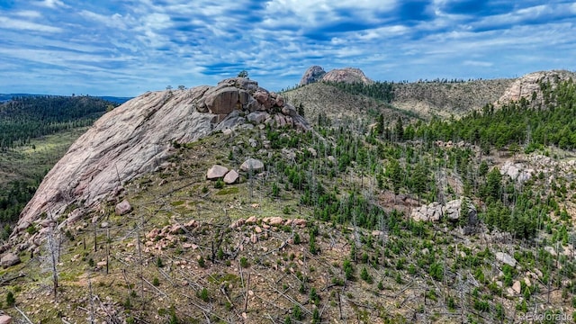 TRACT36 S State Highway 67, Woodland Park, CO 80863 - photo 15
