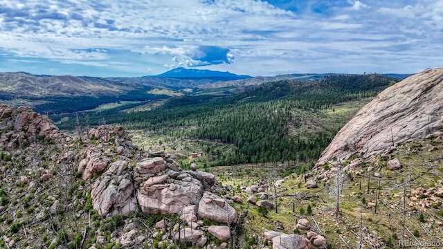TRACT36 S State Highway 67, Woodland Park, CO 80863 - photo 16