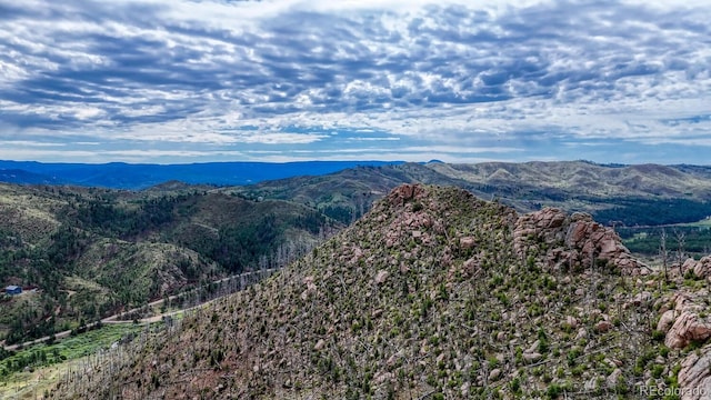 TRACT36 S State Highway 67, Woodland Park, CO 80863 - photo 17