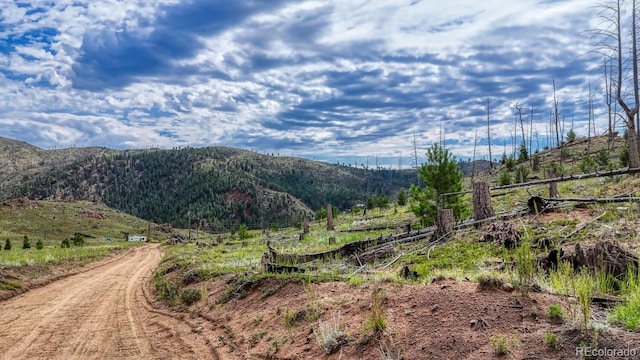 TRACT36 S State Highway 67, Woodland Park, CO 80863 - photo 18
