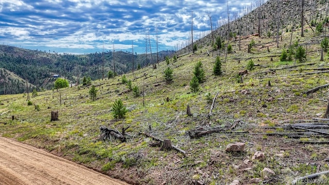 TRACT36 S State Highway 67, Woodland Park, CO 80863 - photo 19