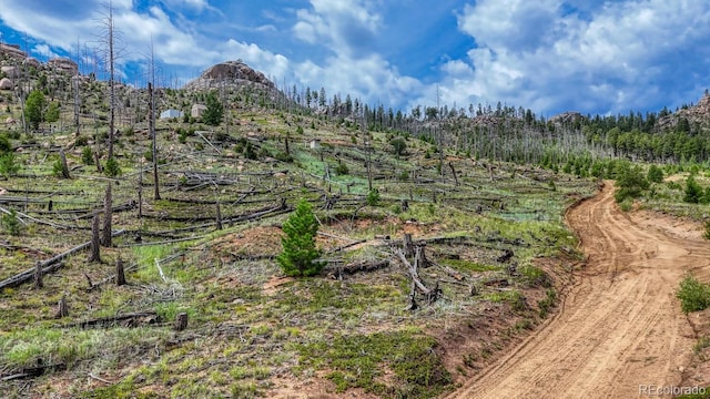 TRACT36 S State Highway 67, Woodland Park, CO 80863 - photo 20