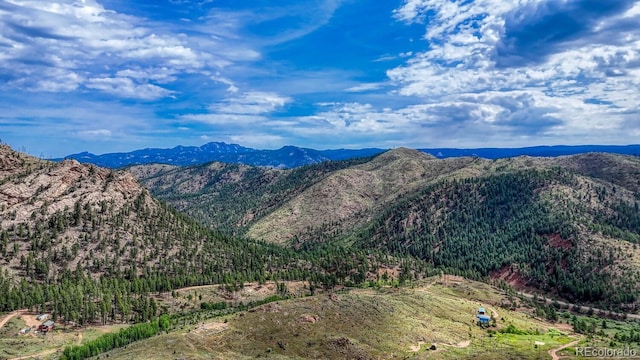 TRACT36 S State Highway 67, Woodland Park, CO 80863 - photo 21