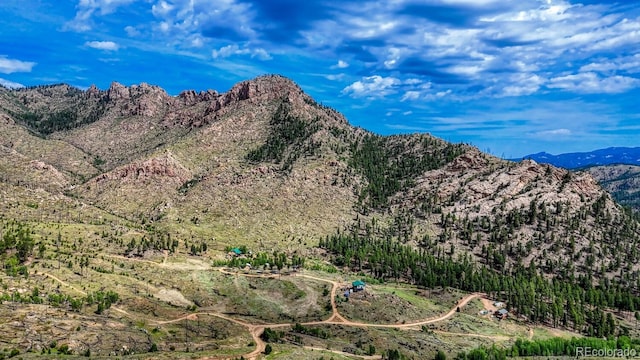 TRACT36 S State Highway 67, Woodland Park, CO 80863 - photo 22