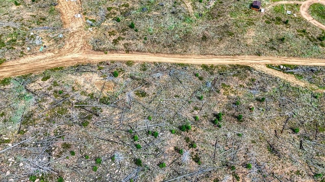 TRACT36 S State Highway 67, Woodland Park, CO 80863 - photo 23