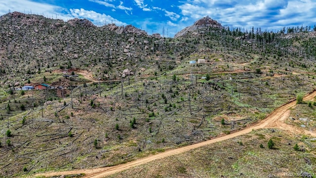 TRACT36 S State Highway 67, Woodland Park, CO 80863 - photo 27