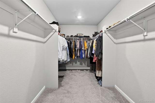 5336 Trails Edge Ln, Castle Rock, CO 80104 - walk in closet with carpet