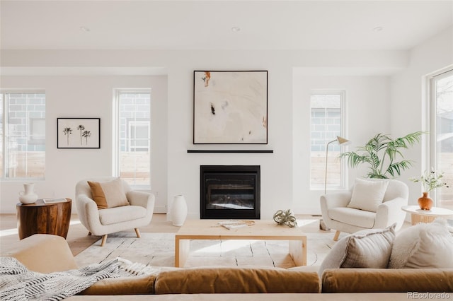 living room featuring a glass covered fireplace