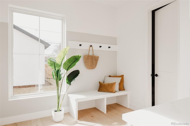 mudroom featuring wood finished floors