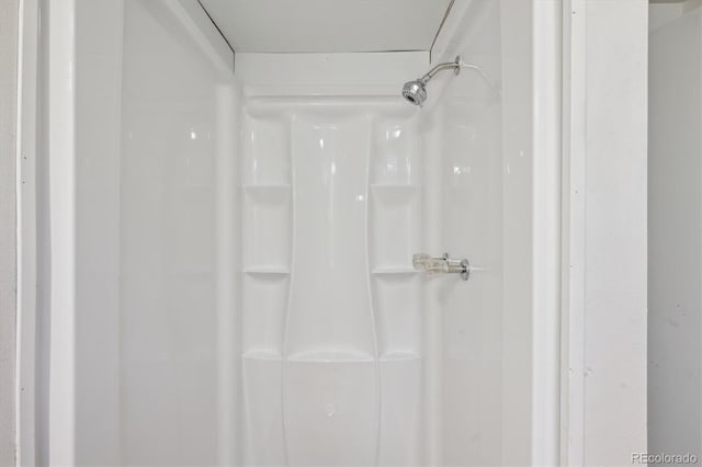 1774 S Dover Way, Lakewood, CO 80232 - bathroom with a shower