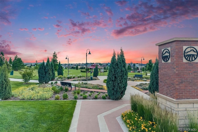 10387 Harrisburg St, Parker, CO 80134 - view of community featuring a lawn
