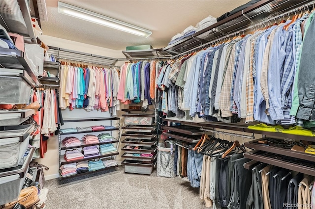 23503 E Minnow Dr, Aurora, CO 80016 - spacious closet featuring carpet floors