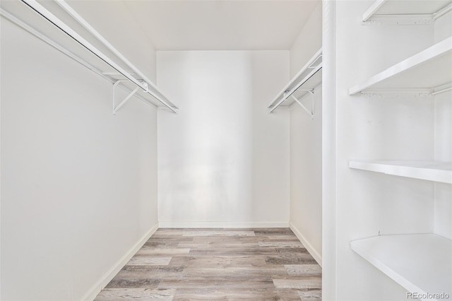 spacious closet featuring light hardwood / wood-style flooring