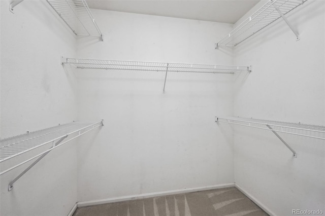 1272 Braewood Ave, Highlands Ranch, CO 80129 - walk in closet featuring carpet flooring