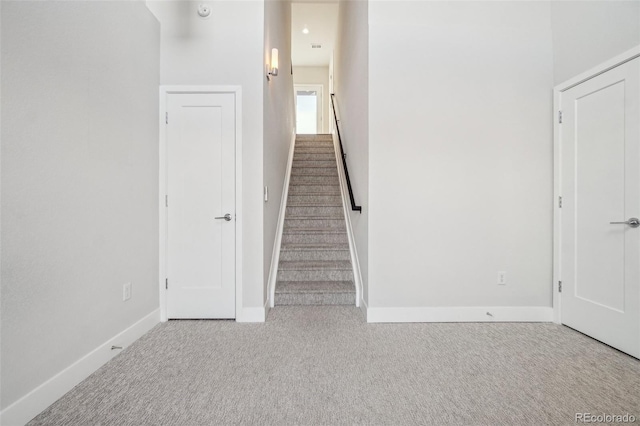 staircase with carpet floors