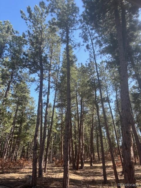 560 Princess Rd, Cripple Creek, CO 80813 - photo 1
