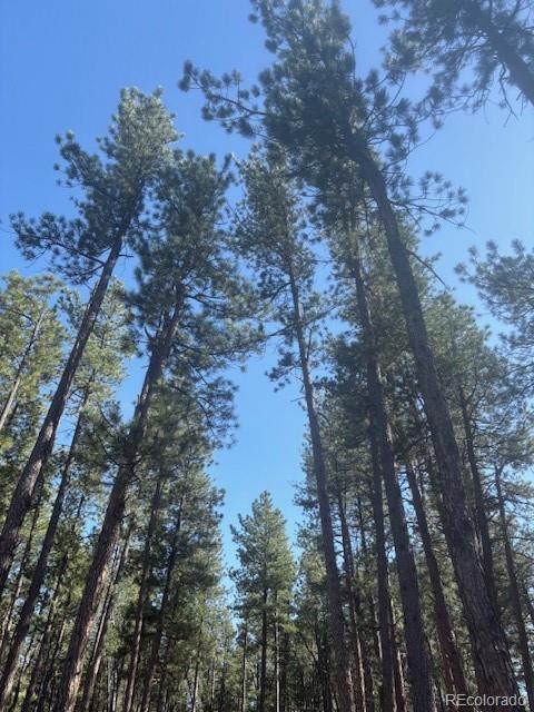 560 Princess Rd, Cripple Creek, CO 80813 - photo 2