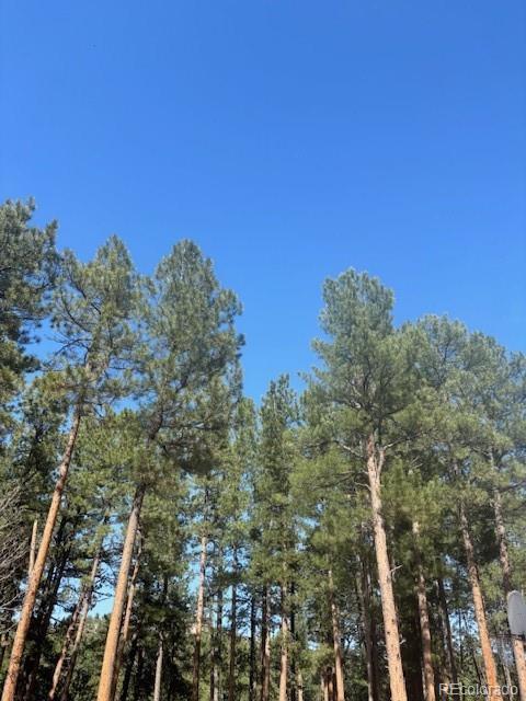 560 Princess Rd, Cripple Creek, CO 80813 - photo 3