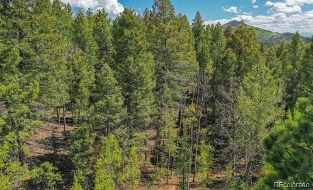 560 Princess Rd, Cripple Creek, CO 80813 - photo 5