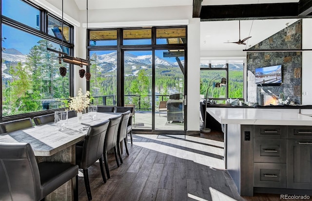 dining area with dark hardwood / wood-style floors