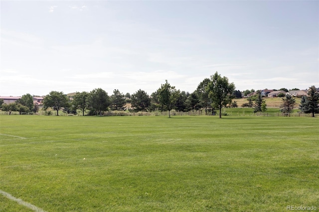 5387 Pierson Ct, Wheat Ridge, CO 80033 - photo 35