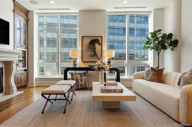 sitting room with floor to ceiling windows, plenty of natural light, and wood-type flooring