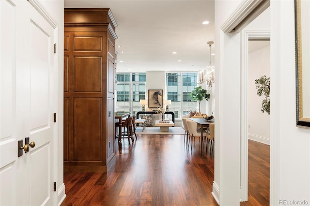 corridor with floor to ceiling windows, dark hardwood / wood-style floors, and an inviting chandelier