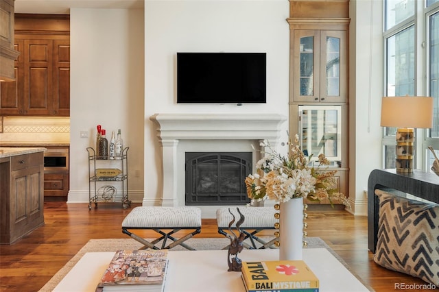 living room featuring dark wood-type flooring