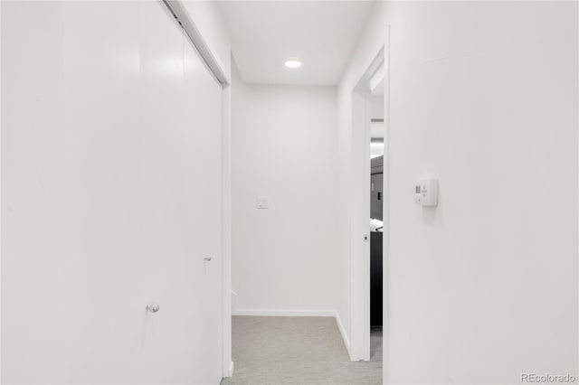 1238 Quitman St Unit 2, Denver, CO 80204 - corridor with light colored carpet and baseboards